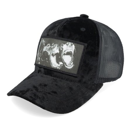 Kinder Calza Pennello - Schwarz trucker Cap - Kinder Kinder Dogs Velvet Black Trucker @ Hatstore