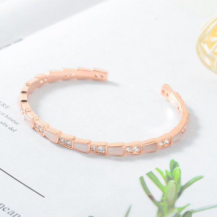 Shell snake bone fashion armband öppningsbar kattöga armband för