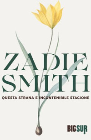 Questa strana e incontenibile stagione Zadie Smith