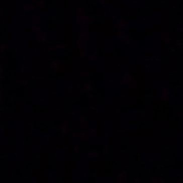 Symphonies of the night Leaves' Eyes