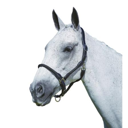 Kincade Läderrep Headcollar Pony Black