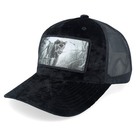 Calza Pennello - Sort trucker Kasket - Black Panther Big Patch Velvet Black Trucker @ Hatstore