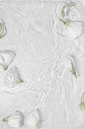 Venture Home - Plakat White roses - Hvid - Posters - Fra Homeroom