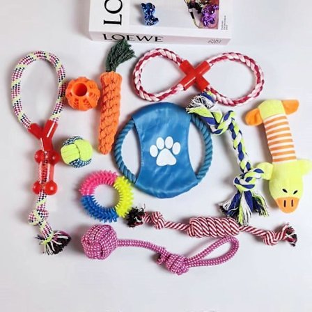 Hunde bidelegetøj til tandfrembrud - 11-pak til hvalpe af små og mellemstore racer, varieret bundt med reb-bidelegetøj mod kedsomhed, interaktivt 