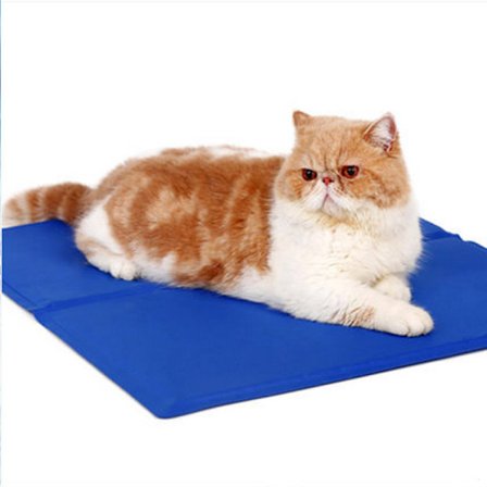 Kylmatta Kylkudde för husdjur, Komfort för katter och hundar (L)