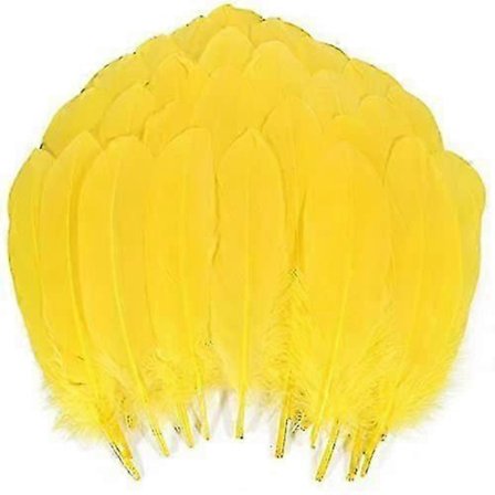 200 stk. Gåse Nagoire Fjer