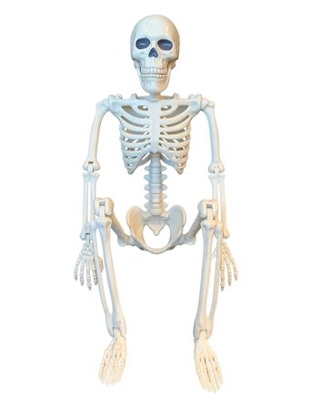 Magni Toys Halloween Skeleton Decor - White - ONE SIZE