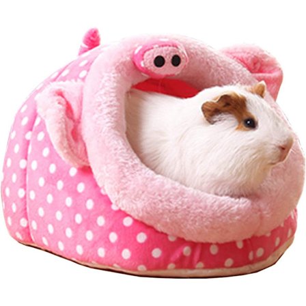 Pindsvin marsvin bur seng lille kæledyr dyr hus tilbehør