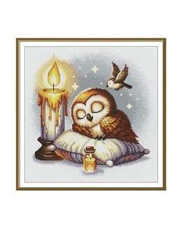 Kirjontapakkaus Taulu Tähtiyön uni