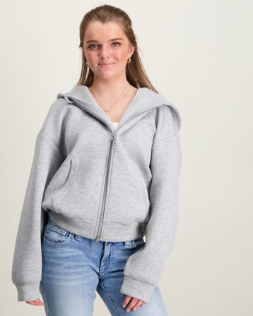 LMTD NLNHALFA LS SCUBA CARDIGAN Grå Huvtröjor/Hoodies Tjej - Kids Brand Store
