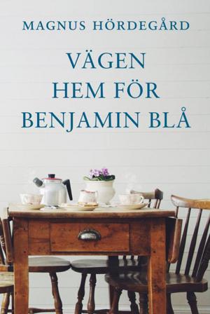 Vägen hem för Benjamin Blå - Bok av Magnus Hördegård - Danskt band