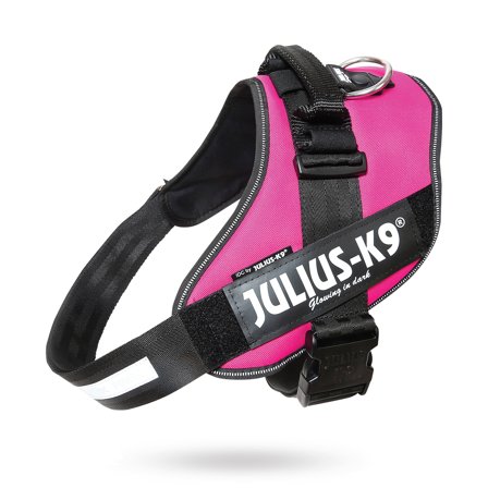 JULIUS-K9 - K9 IDC Hundesele Cerise