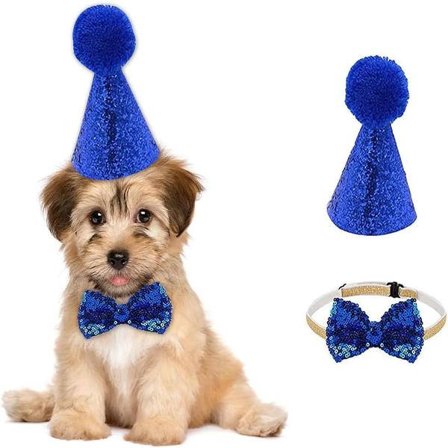 Fødselsdagshat til kæledyr, hunde- og kattehat med butterfly, kæledyr, kat, hundefødselsdag