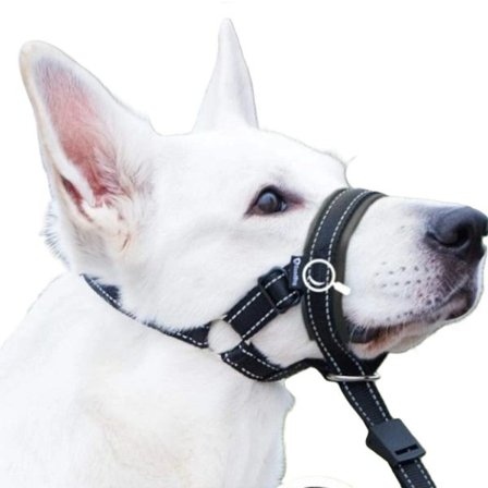 Hundmunkorg L – Justerbar Nylon – Anti-Skäll & Anti-Bett – Bekväm & Andningsbar – Svart – För Stora Hundar SVART