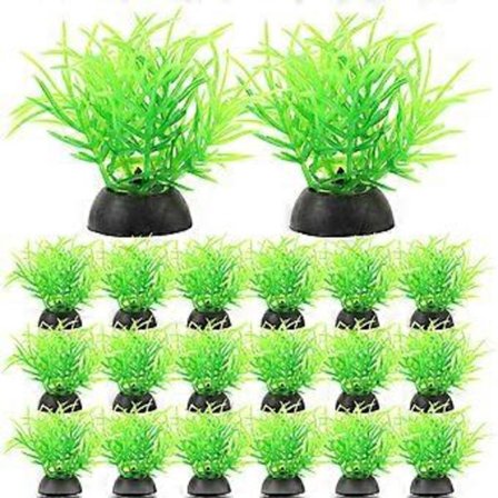 Koristekasvit akvaarioihin, monipuolinen käyttö matelijoiden elinympäristöissä