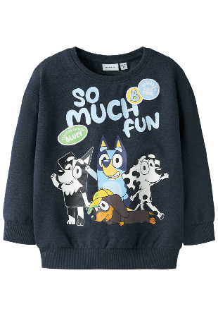 Name It NMMJARED BLUEY NREG SWEAT UNB SKY Hoodies & sweatshirts Herr Blå 104