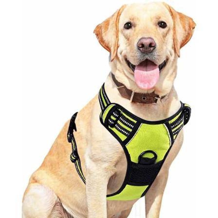 Andningsbar och lättanvänd anti-drag hundsele med reflexband för storleksjustering (Grön, M)