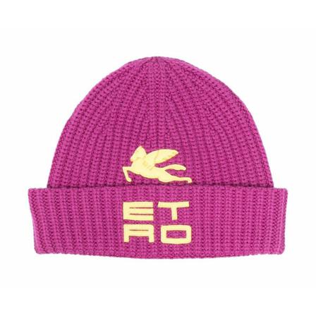Etro, Beanies Paars, Dames, Maat:ONE Size