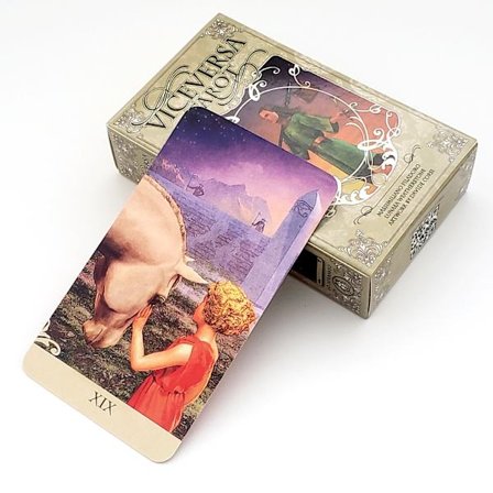 Vice Versa Tarot Kit