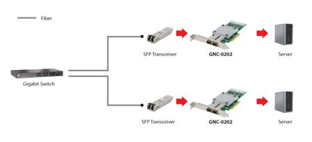 LEVELONE GNC-0202 - nettverksadapter - PCIe x8 - 10 Gigabit SFP+ x 2