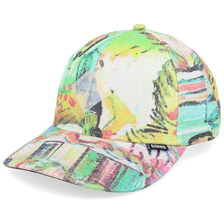 Djinns - Multi adjustable Cap - Truefit Painting Multi Adjustable @ Hatstore