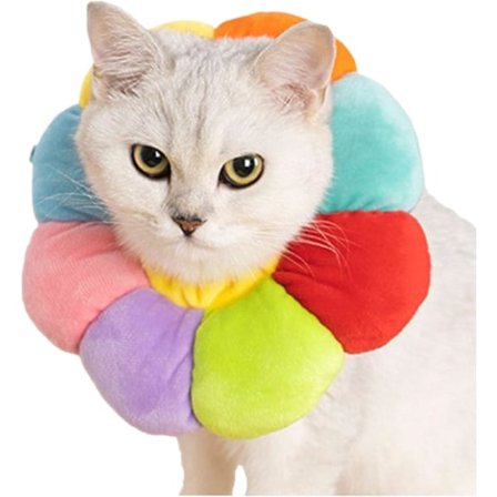 Justerbart Katt Halsband Återhämtningshalsband Mjuk Kattkon Krage Anti-slick Halsband Husdjur