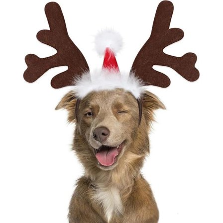 Koiran hirven poronsarvi -panta, lemmikin joulupuku, päähine, asusteet koirille ja kissoille
