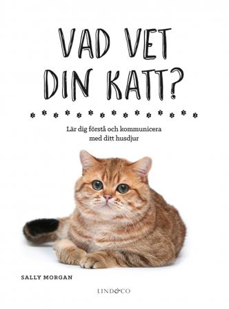 Vad vet din katt? : lär dig förstå och kommunicera med ditt husdjur - Bok av Sally Morgan - Inbunden