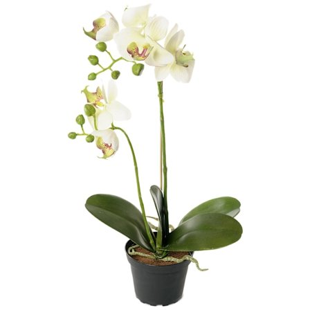Orkidea Keinotekoinen Kukka - Valkoinen