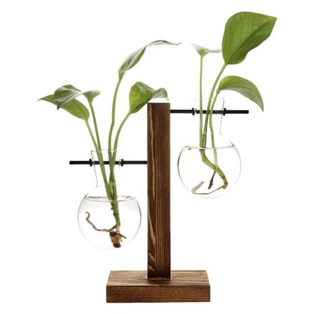 Hydroponisk vase, vintage bordplanter, blomster vase, glasplanter