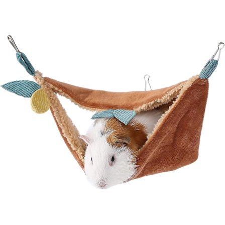 Litet husdjursbo flygekorre varm bomullsdjungel marsvinshängmatta (trädranka)