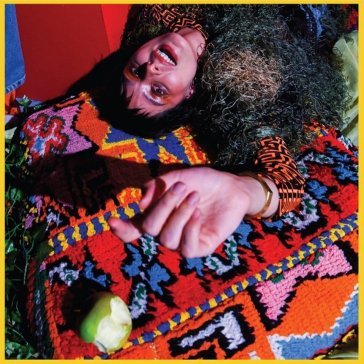 Shake me where i'm foolish NYSSA