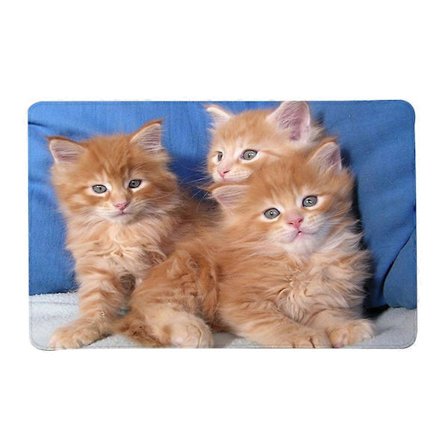 40x60cm Söt Kompatibel med Katt Djur Dörrmatta Badrum Toalett Matta Badrumsmatta Golvmatta