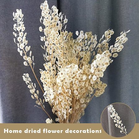 Kuivatut kukat koriste luonnolliset ikuiset kasvit oksat taide kodin sisustus yhteensopiva tee-se-itse-kukkien kanssa