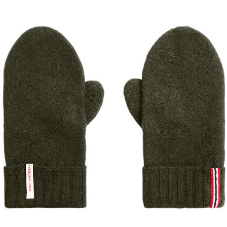 Amundsen Boiled Mittens Earth