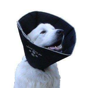 Candioli Collare Elisabetta Comfy Cone Taglia Medium 1 Pezzo