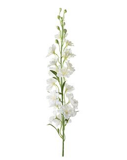 Konstväxt snittblomma Delphinium 90 cm 1-pack Vit - Mr Plant
