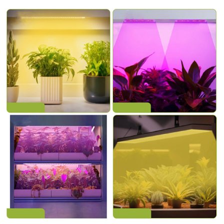 LED-kasvivalaisin, jossa on 1 paneeli ja 4-portainen himmennin