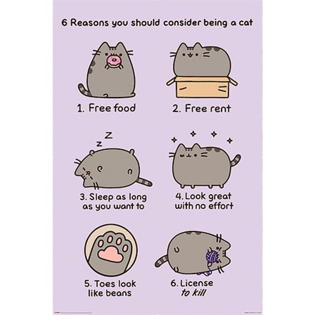 Pusheen Reasons Poster One Size Multi-colour
