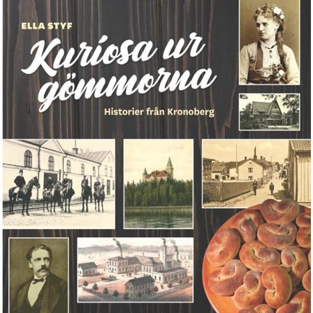 Kuriosa ur gömmorna : historier från Kronoberg 9789198632507