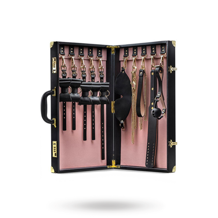 Temptasia Safe Word Bondage Kit With Suitcase - Blush