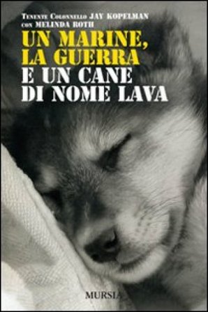 Un marine, la guerra e un cane di nome Lava Jay Kopelman