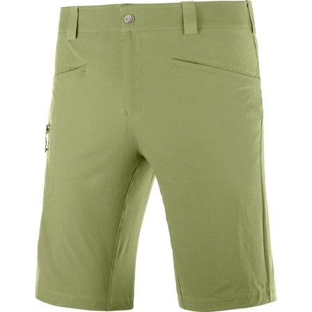 Salomon Men's Wayfarer Shorts Men hiking shorts Green 48