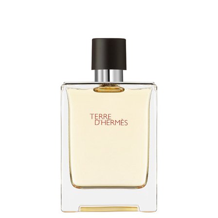 HERMÈS Terre d'Hermès Eau de Toilette 100 ml, Parfumer & Dufte, Herredufte, Terre D'hermès