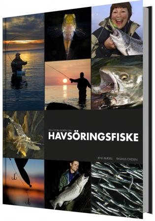 Den stora boken om havsöringsfiske - Bok av Jens Bursell & Rasmus Ovesen - Inbunden