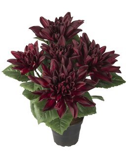 Konstväxt Dahlia Vinröd - Linea