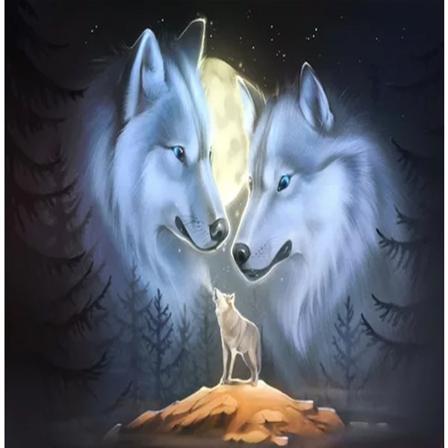 (30x40cm)30x40cm 5D Timanttimaalaus Täysi Timanttimaalaus W