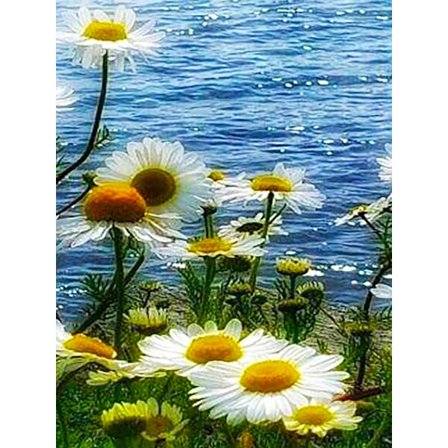 5D Diamant Maleri Korssting Fuld Diamant, Håndlavede Firkantede & Runde Diamanter DIY - FJ00949