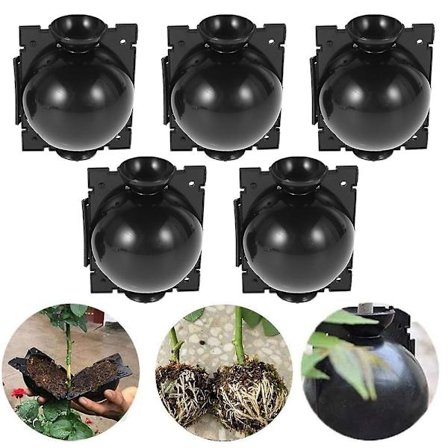 10st Plant Rooting Ball Ympning Rooting Box Plant Odling Box