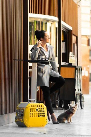 VarioCage Care2 M gul - Bilbur